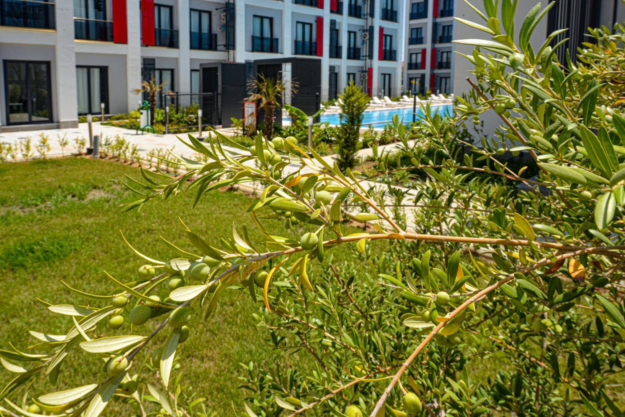 C Suites Antalia Airport Exterior foto